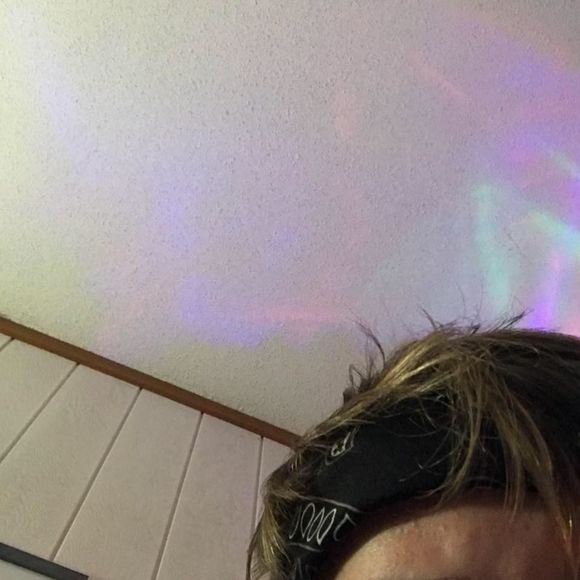 Meet your Posher, Chayce - Picture 1 of 1